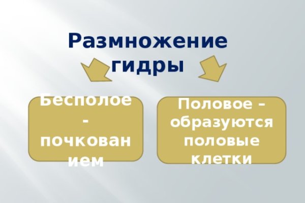 Короткая ссылка на кракен