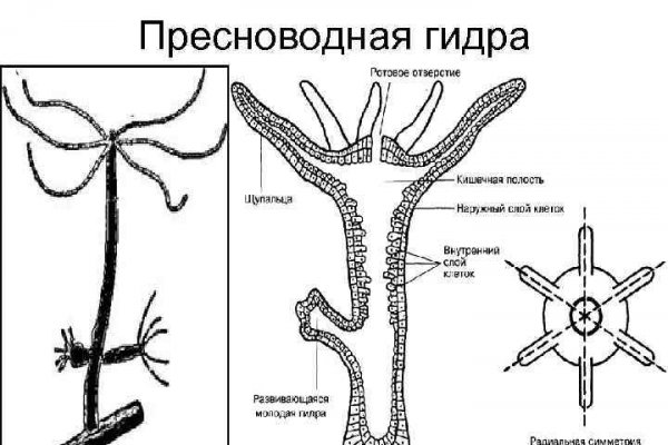 Кракен ты знаешь где покупать