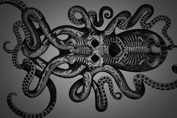 Kraken 13at