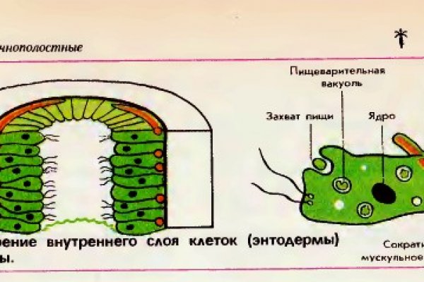 Кракен даркнет сайт на русском