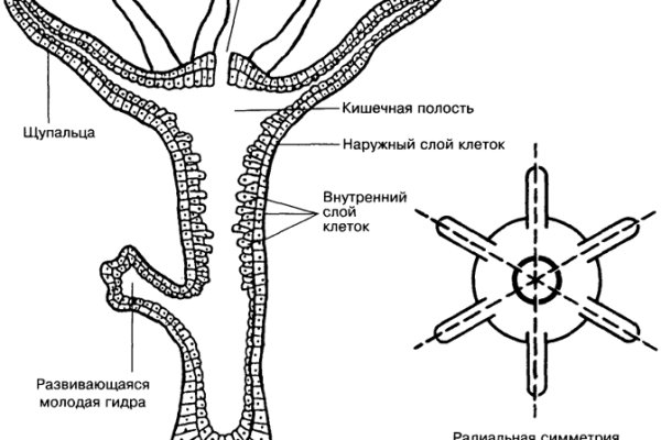 Кракен официальный сайт ссылка
